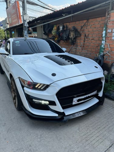 Mustang for sale