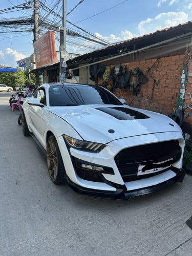 Mustang for sale