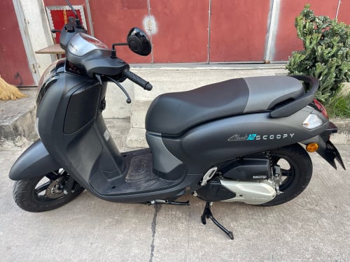 Scoopy for sale