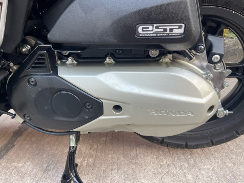 Scoopy for sale