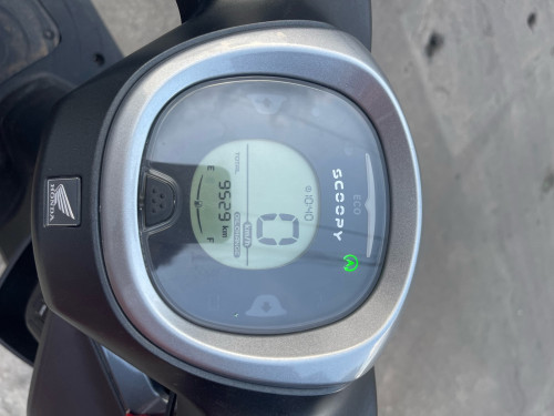 Scoopy for sale