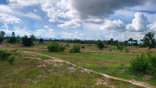 ដីសម្រាប់ជួល