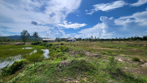 ដីសម្រាប់ជួល