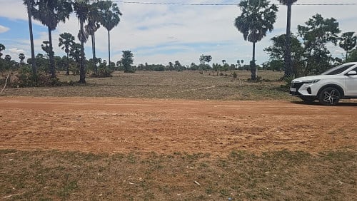ដីលក់