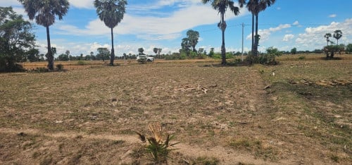 ដីលក់