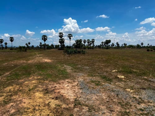 ដីលក់ម្ចាស់ផ្ទាល់