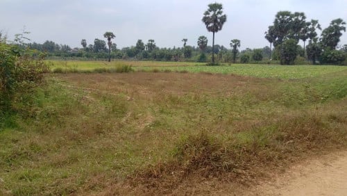 ដីលក់បន្ទាន់នៅខេត្តកំពង់ចាម