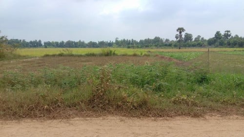 ដីលក់បន្ទាន់នៅខេត្តកំពង់ចាម