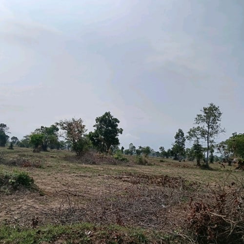 ដីលក់បន្ទាន់តម្លៃក្រោមទីផ្សារ
