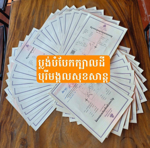 ផ្ទះលក់