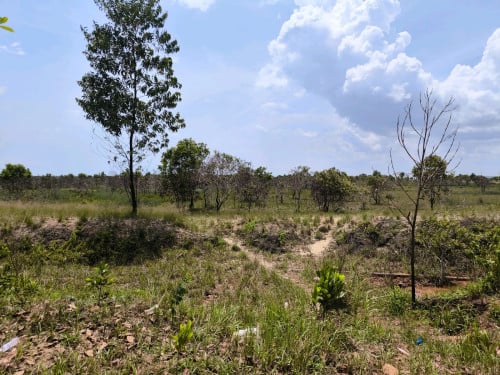 ដីលក់តម្លៃពិសេស នៅជិតសមុទ្រកែវផុស ខេត្តព្រះសីហនុ