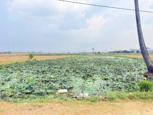 ដីលក់បន្ទាន់នៅក្រោយវត្តជុំ ឈូកវ៉ា1