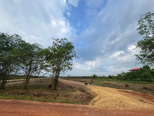 ✅ដីសម្រាប់លក់/Land for sell