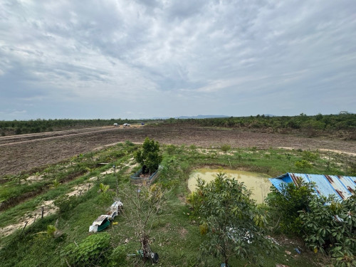 ✅ដីសម្រាប់លក់/Land for sell