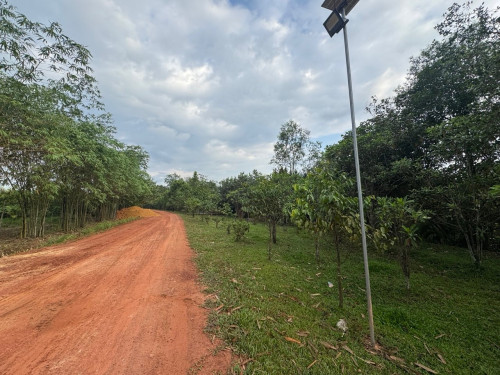 ✅ដីសម្រាប់លក់/Land for sell
