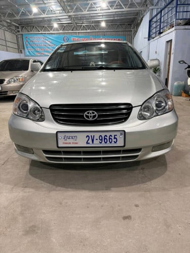 Corollaឡានខ្ចីណាស់អត់បុកអត់ប៉ះកង់ថ្មី