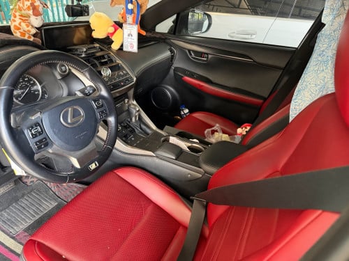 Lexus NX 300 2018 Full