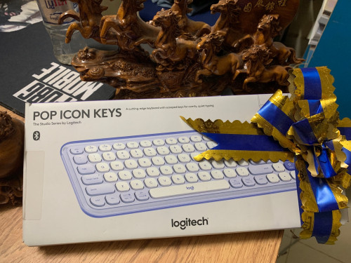POP Icon Keys want to resale
