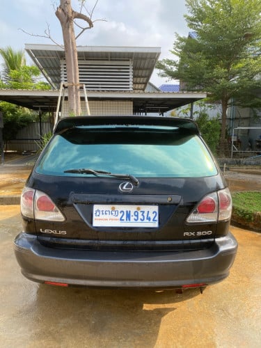 RX300 01 P2