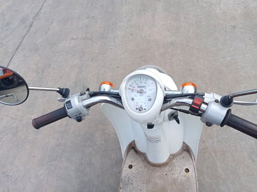 Scoopy mini