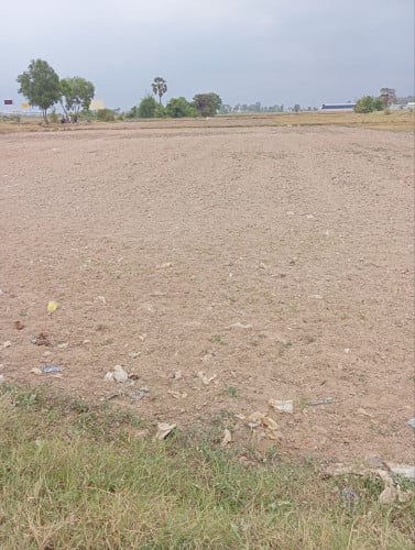 ដីលក់