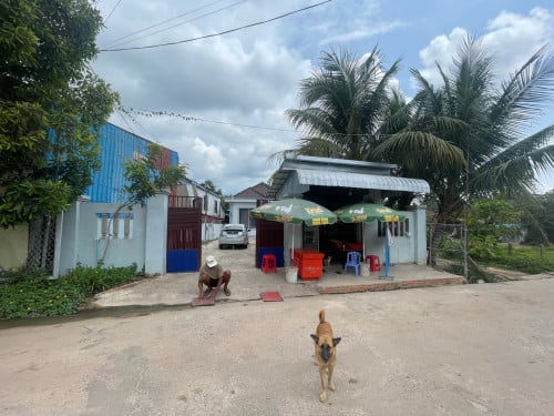 ផ្ទះលក់បន្ទាន់