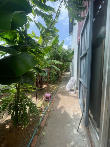 ផ្ទះលក់បន្ទាន់