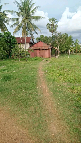 ដីជាប់ផ្លូវខេត្តកំពត