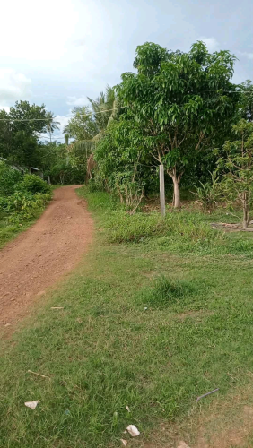ដីជាប់ផ្លូវខេត្តកំពត