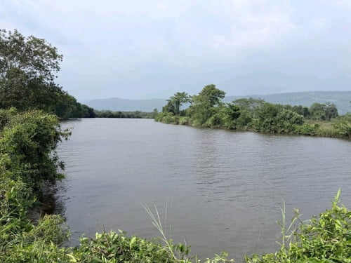 ដីជាប់ស្ទឹង