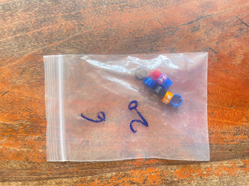 ច្រវ៉ាក់ជើងសេក នឹងកងជើង