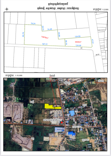 ដីជាប់ផ្លូវ ចំការដូង217