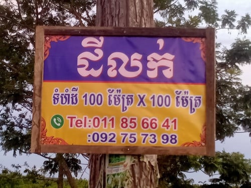 ដីលក់បន្ទាន់ តម្លៃ 50000$