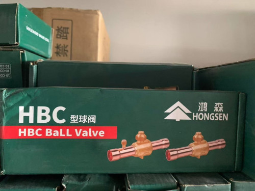 型热力膨胀阀-EXPANSION VALVE