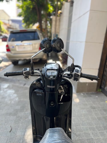 Honda Scoopy 019