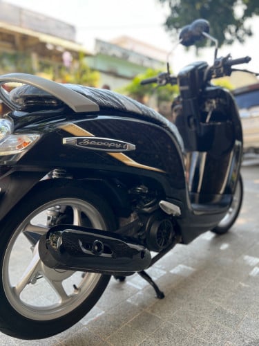 Honda Scoopy 019