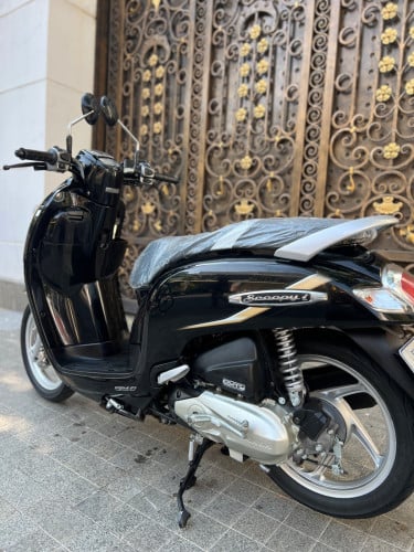 Honda Scoopy 019