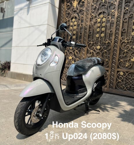 Honda Scoopy Up024