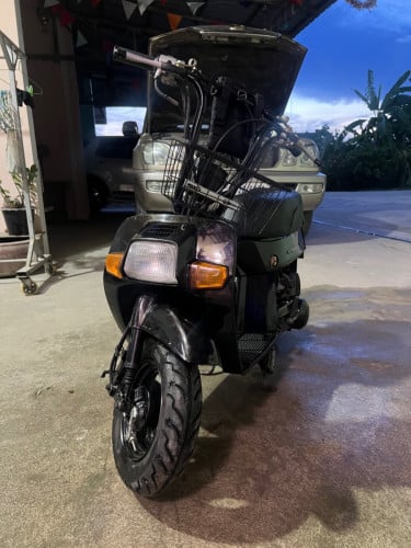 Honda squash