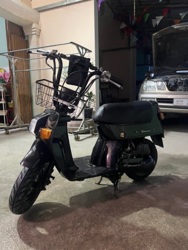 Honda squash