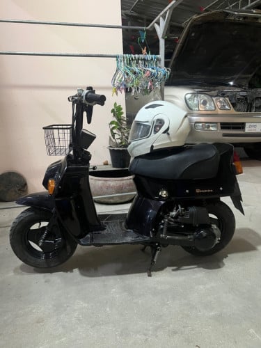 Honda squash