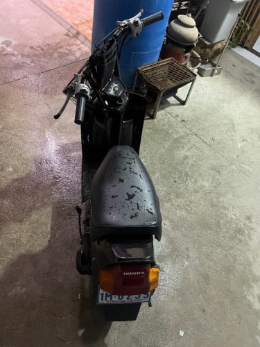 Honda squash