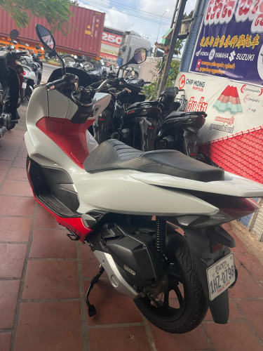 PCX.  019