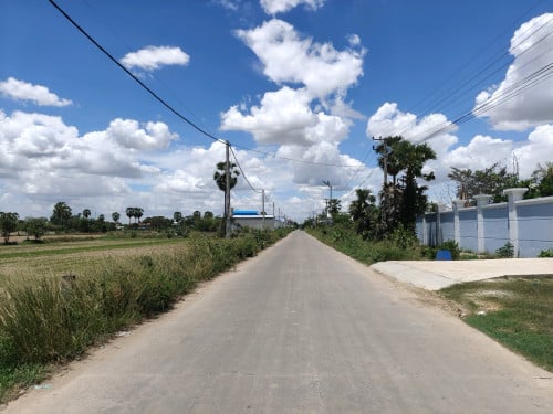 ដីអាជីវកម្មលក់ ជាប់ផ្លូវបេតុង