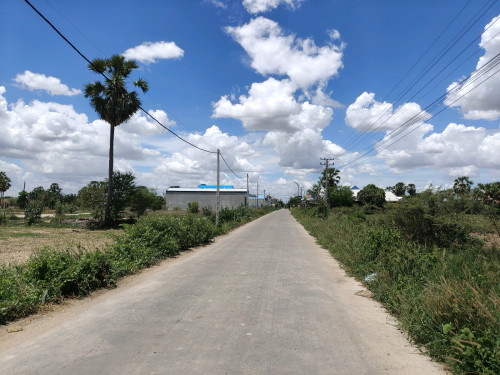 ដីអាជីវកម្មលក់ ជាប់ផ្លូវបេតុង