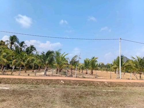 ដីលក់