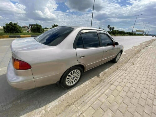 កូឡាលក់ម្ចាសផ្ទាល់