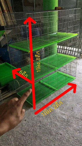 ទ្រុងសត្វ