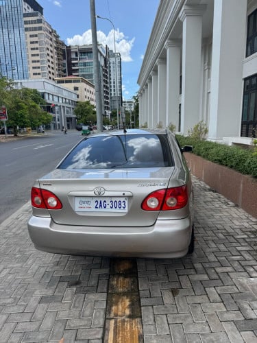 កូរូឡា2003