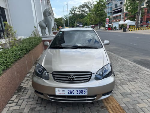 កូរូឡា2003